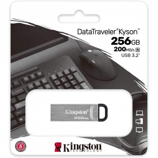 Kingston DataTraveler Kyson 256 GB USB 3.2 Gen 1 Plata Kingston DataTraveler Kyson 256 GB USB 3.2 Gen 1 Plata